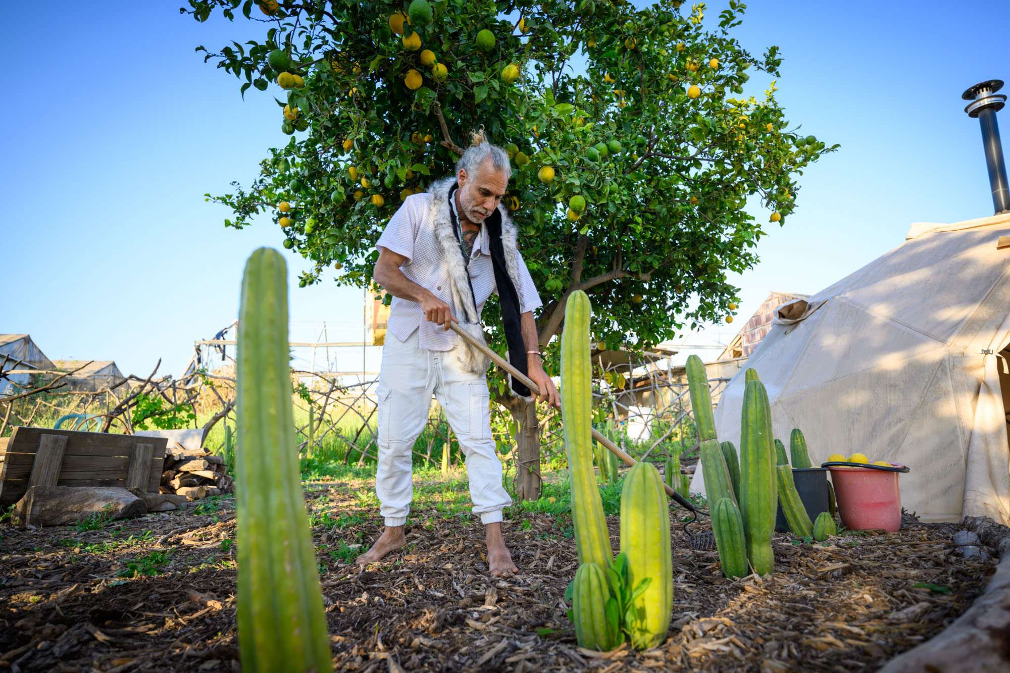 עבודת אדמה וטיפוח גינה בחוות קשת
